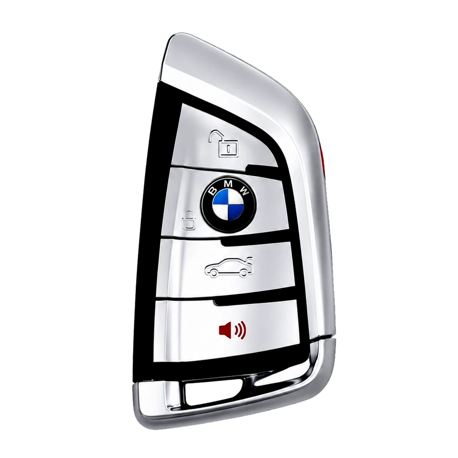 BMW key type 5