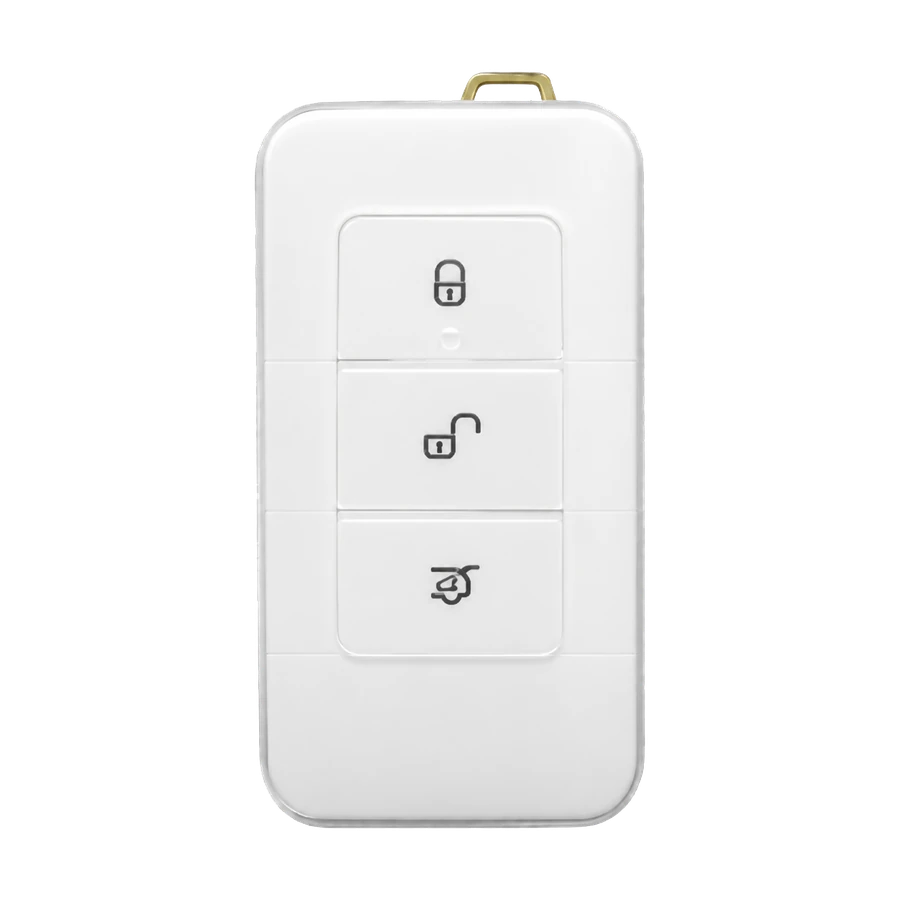 Byd key type 8