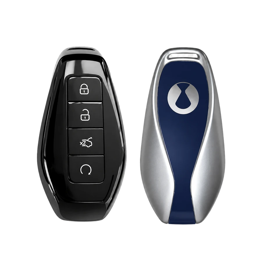 Denza key type 2