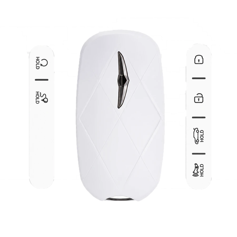 Genesis key type 10