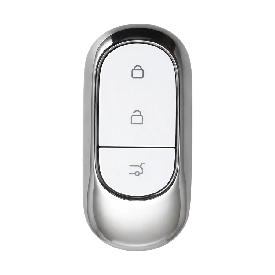 Leapmotor key type 2
