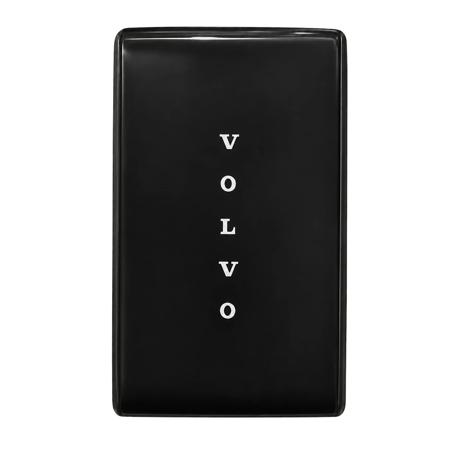 Volvo key type 2