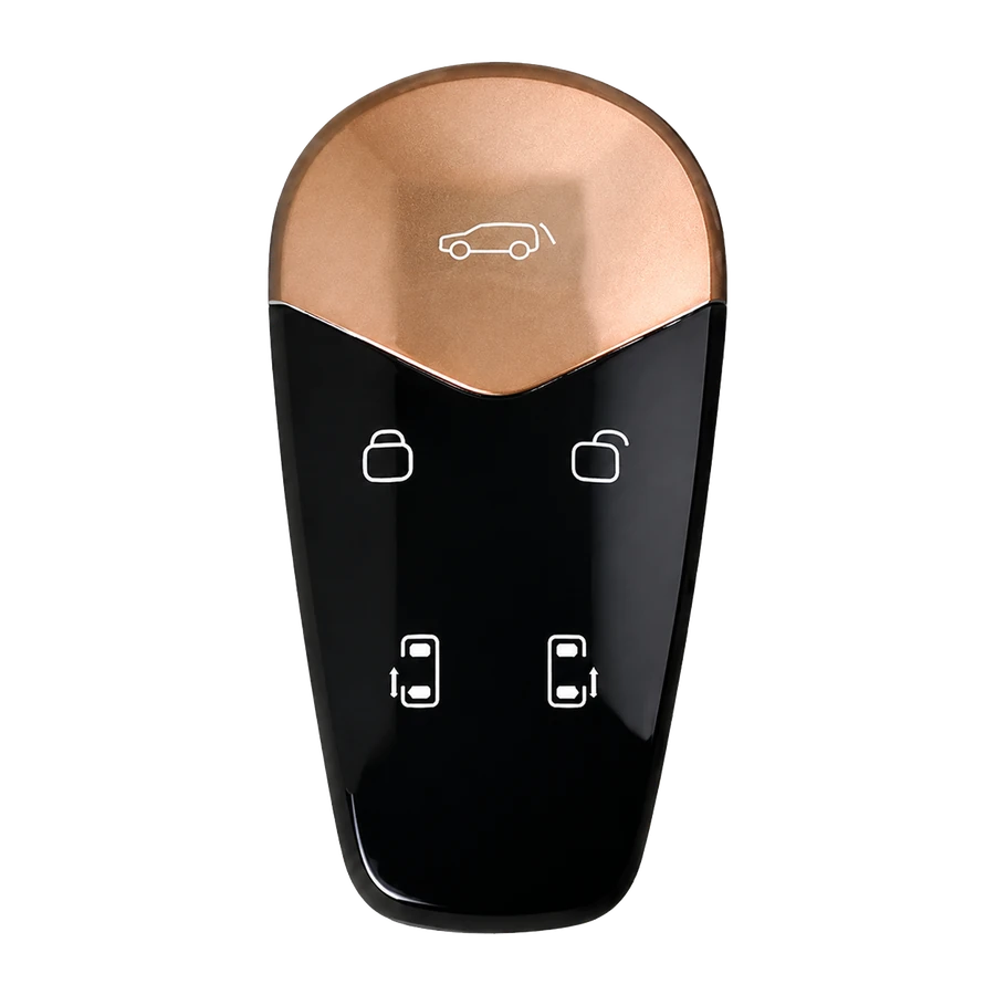 Voyah key type 3