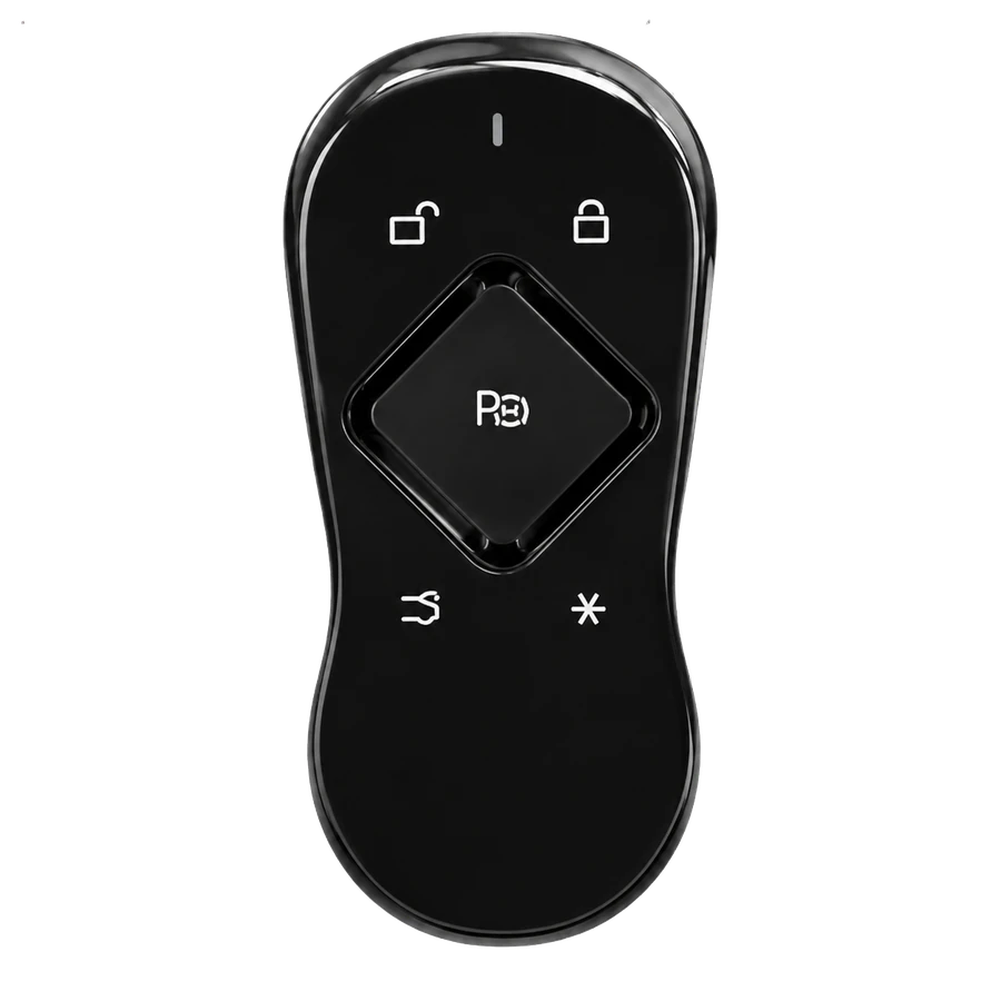 Xpeng key type 6